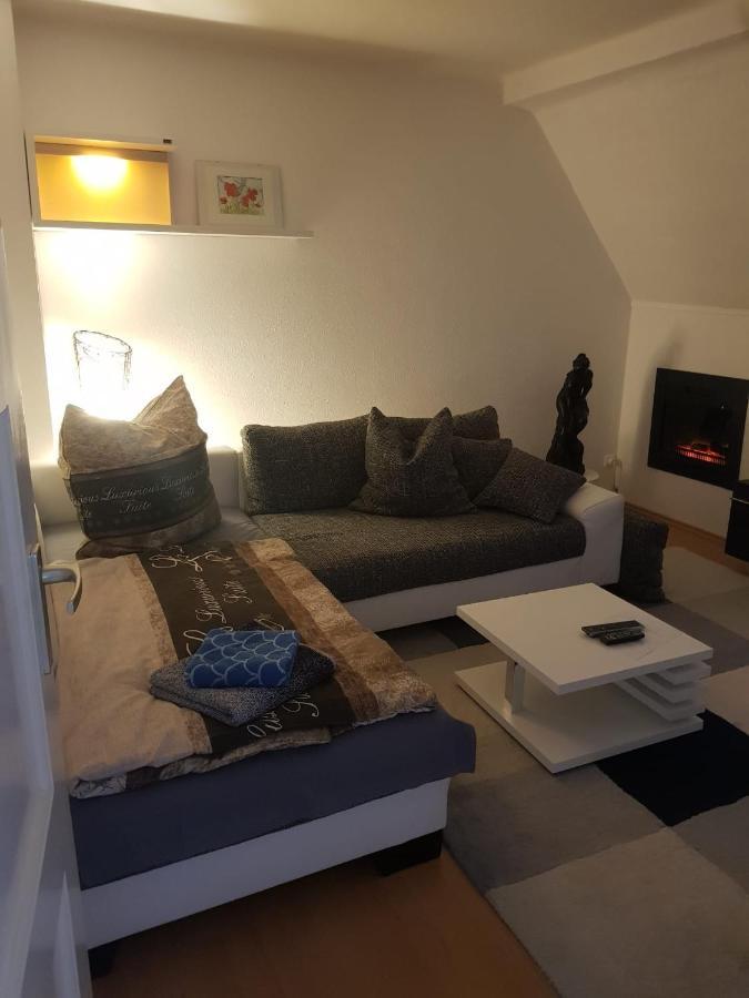 Apartment Am Suedpark Erfurt - Inkl Garten Mit Sitzlounge - Zentrumsnah Екстериор снимка