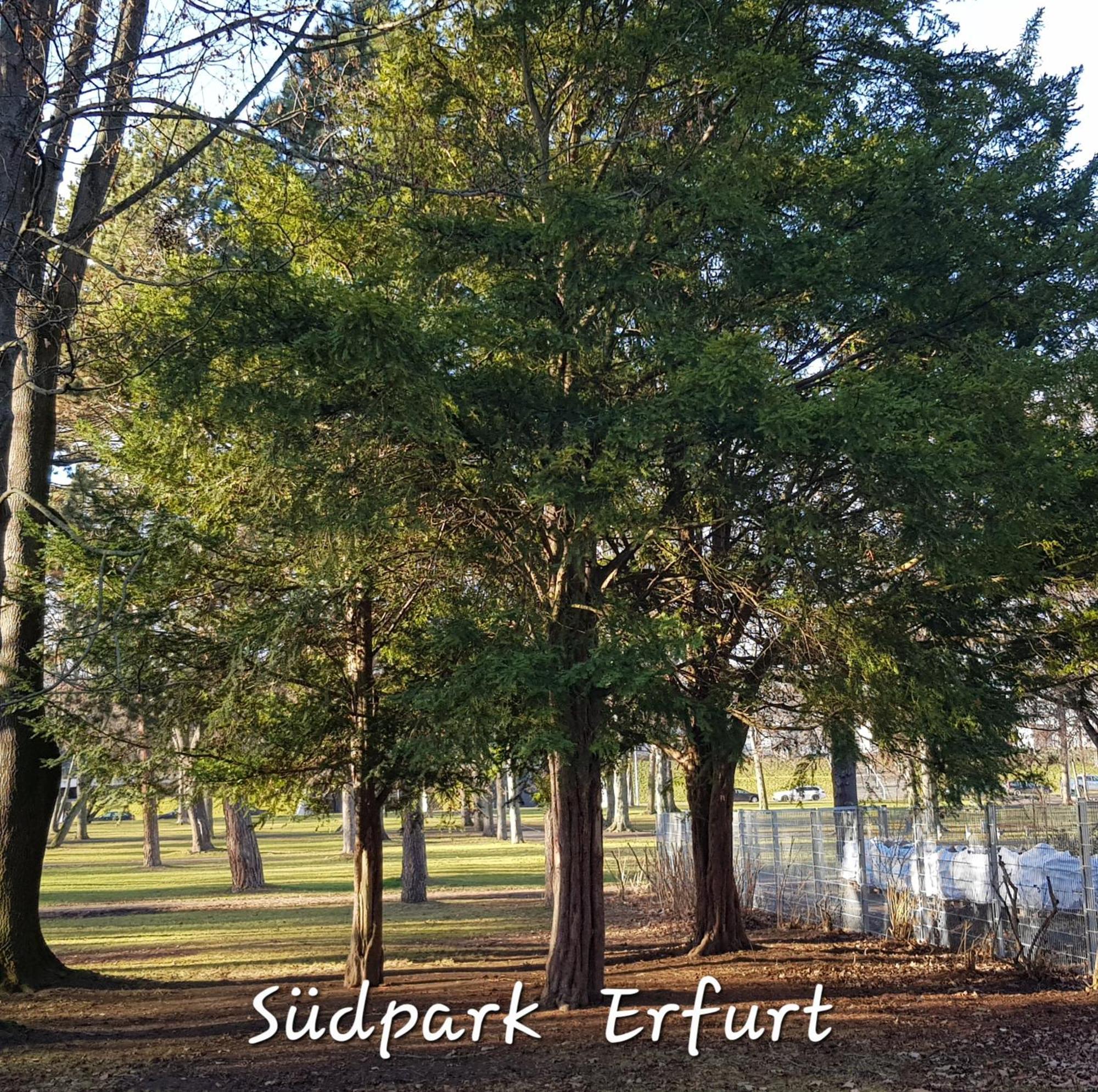Apartment Am Suedpark Erfurt - Inkl Garten Mit Sitzlounge - Zentrumsnah Екстериор снимка